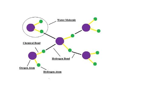 Exploring Creation with Science: Hydrogen Bonding