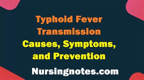 Typhoid Fever Transmission: Causes, Symptoms, and Prevention - NursingNotes