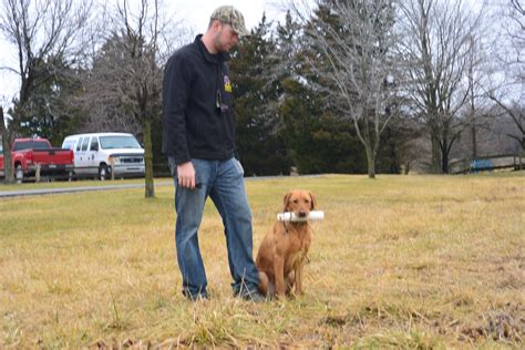 Dog Hunting Training in St. Charles, MO | Professional Dog Trainer