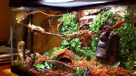 Best Ball Python Habitat Tank, size, length, setup, Decor & reviews