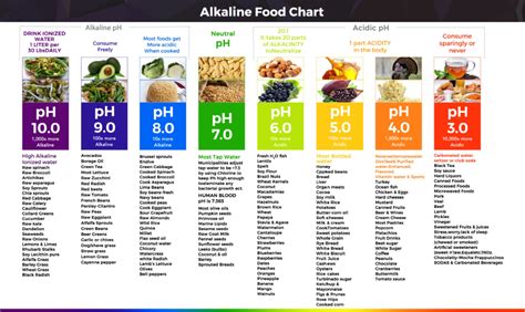 pH Food Chart | Acid-Alkaline Food Chart