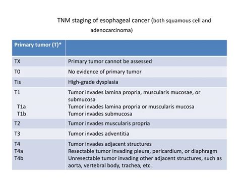 Staging Of Esophageal Cancer