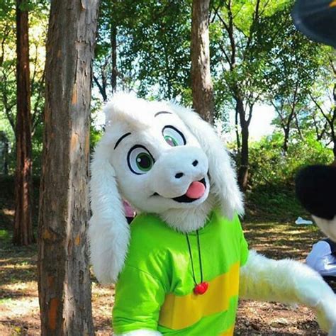 Asriel, Undertale | Undertale cosplay, Fursuit furry, Undertale