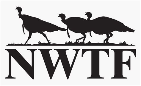 Nwtf Logo Black, HD Png Download - kindpng