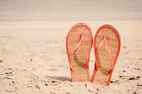 Flip-flops on a beach stock image. Image of chilling - 31381921