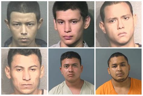 11 MS-13 Gang Members Charged With 5 Houston Area Murders | Houston, TX Patch