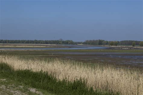 Gratis Afbeeldingen : water, gras, horizon, ochtend-, kust-, rivier ...