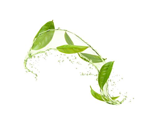 Herbal drink wave splash, green tea leaves, water 20402551 Vector Art at Vecteezy