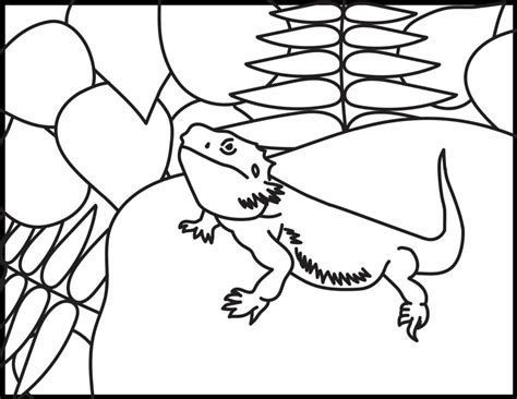 Bearded Dragon Coloring Pages | Roaring Spork