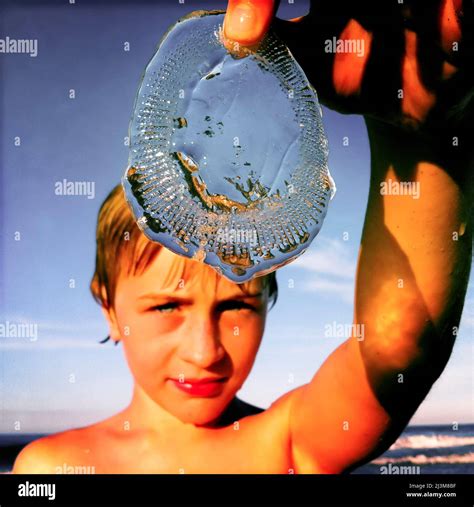 Person holding a jellyfish hi-res stock photography and images - Alamy