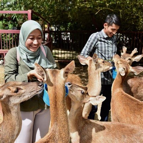 Langkawi WildLife Park | bajet2cuti