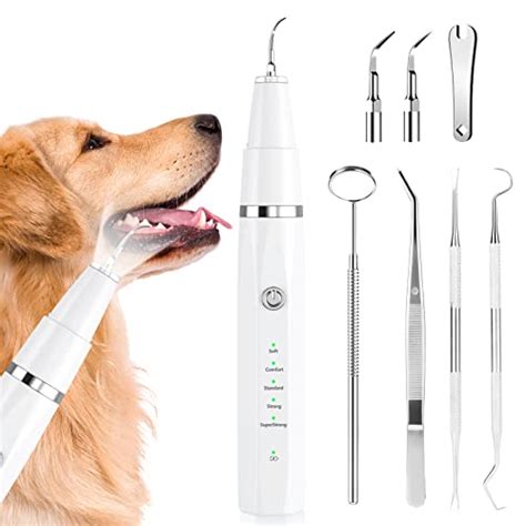 The Best Tartar Remover for Dogs: Remove Plaque and Improve Your Pet’s Oral Health