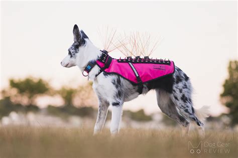 CoyoteVest - Pet Body Armor Review