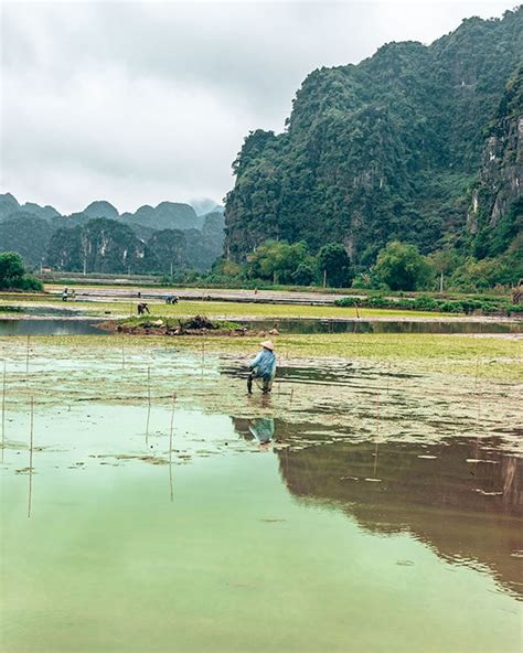 Ninh Binh And Tam Coc, Vietnam. 12 Important Things You Need To Know.