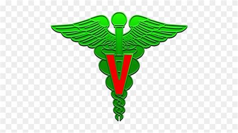 Veterinary Caduceus Vector at Vectorified.com | Collection of ...