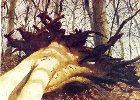 Jamie Wyeth. Fallen tree | Kunstwerke, Jamie wyeth, Kunst