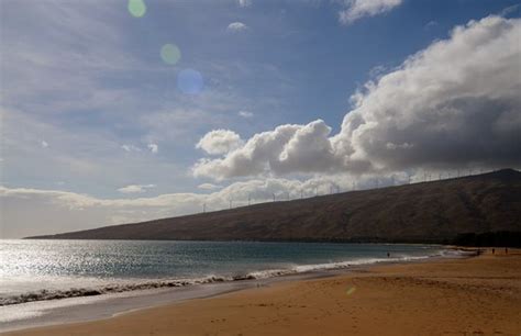 Maalaea Beach (Maui) - All You Need to Know Before You Go (with Photos ...