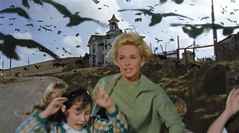 'The Birds' (1963) review: How does the Hitchcock classic hold up today ...