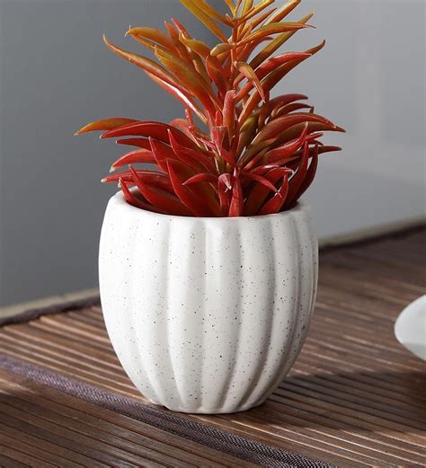 Buy White Ceramic Pumkin Shaped Flower Pot at 34% OFF by Cdi | Pepperfry