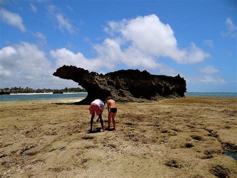 Turtle Bay Resort Watamu Kenya world schooling Photograph by Exploramum Exploramum - Fine Art ...