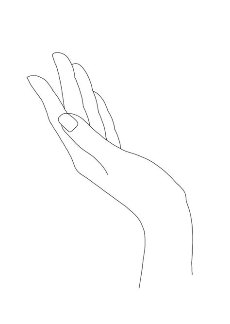 Women's hand linear line drawing minimal illustration by The Colour ...