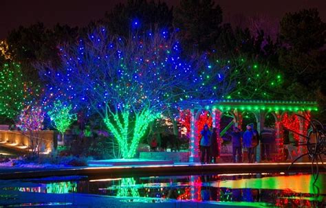 Christmas in July? Try January. | Denver Botanic Gardens