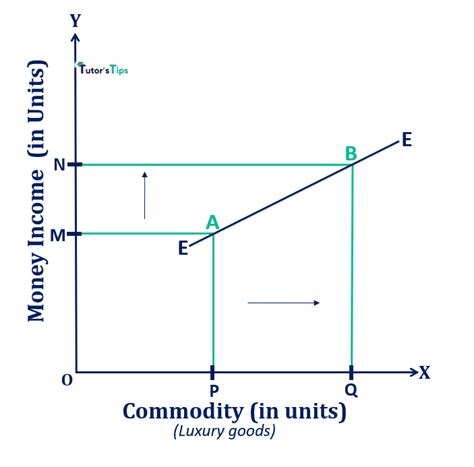 Engel Curve - Meaning and Explanation – Tutor's Tips