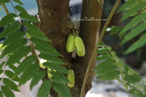 Bilimbi Pickle (Bimbla nonche) - KonkaniFoodRecipes.com