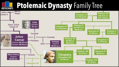 Ptolemaic Dynasty Family Tree - YouTube