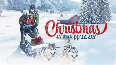 Christmas In The Wilds - Movie - Where To Watch