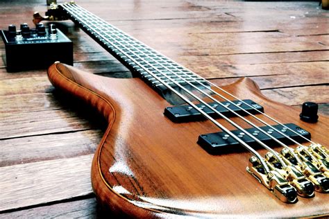 Free Images : string instrument, musical instrument, bass guitar ...