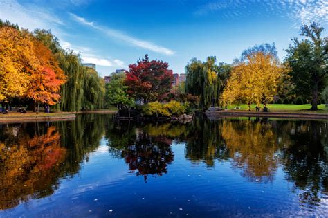 22 Things to Do in Boston in Fall: Autumn Colors, Road Trips ...