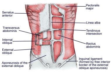 Core strength and back pain – Ask my PT