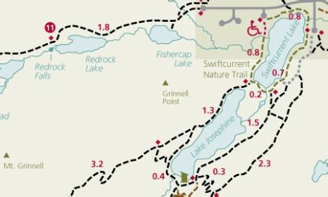 Swiftcurrent Lake Nature Trail loop hike in Glacier National Park