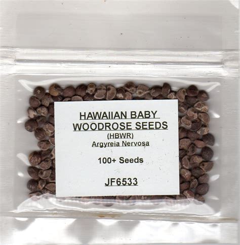 FRESH! 100 Hawaiian Baby Woodrose Seeds HBWR (Argyreia Nervosa) Hawaii Strain | Hawaiian baby ...