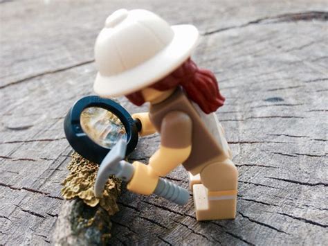 Paleontologist at work - LEGO Minifigures, Series 13 | Flickr