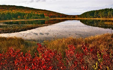 Acadia National Park Fall Colors in Maine 2024 - Rove.me