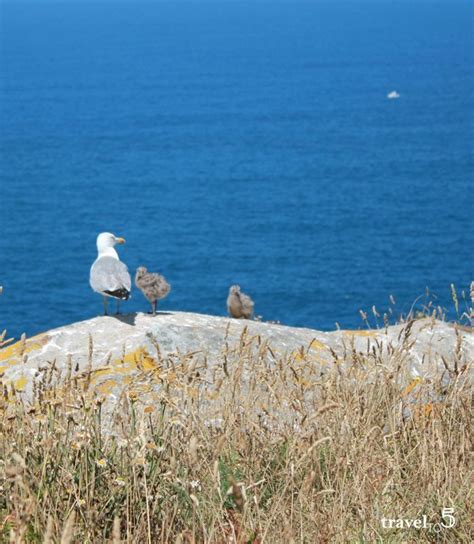 5 pro tips to visit Cies Islands in Rias Baixas, Galicia