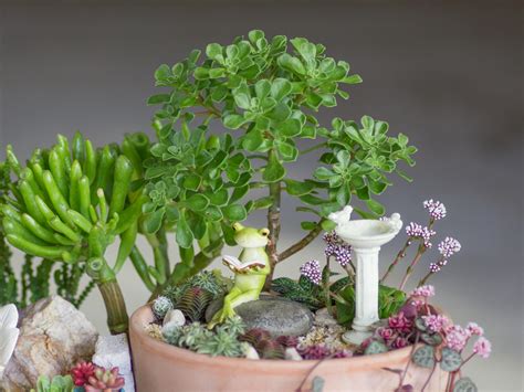 Succulent Fairy Garden Tutorial | DIY Succulent Fairy Garden | Fairy Garden Blog