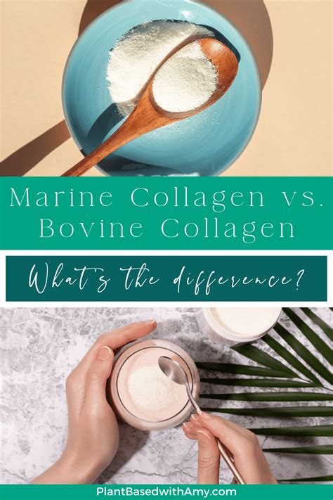 Marine Collagen vs. Bovine Collagen - Plant Based with Amy