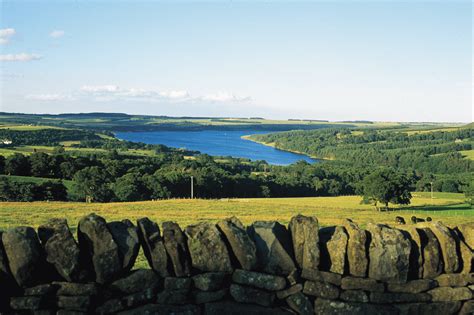 Derwent Reservoir Fishing | Waterside Parks