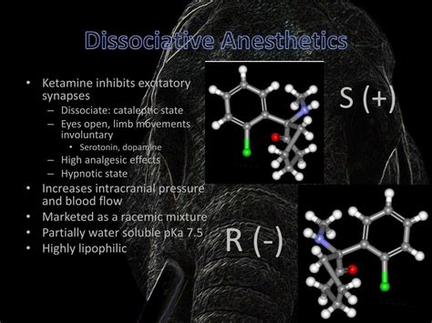 PPT - General Veterinary Anesthesia PowerPoint Presentation - ID:166565