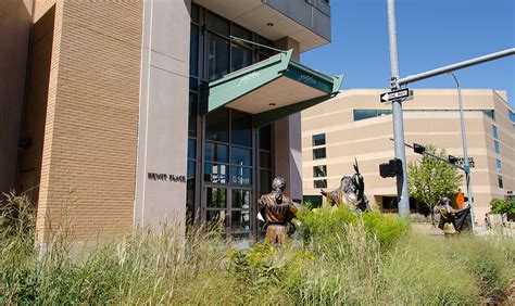 Yucca moth pollination | MediaHub | University of Nebraska-Lincoln