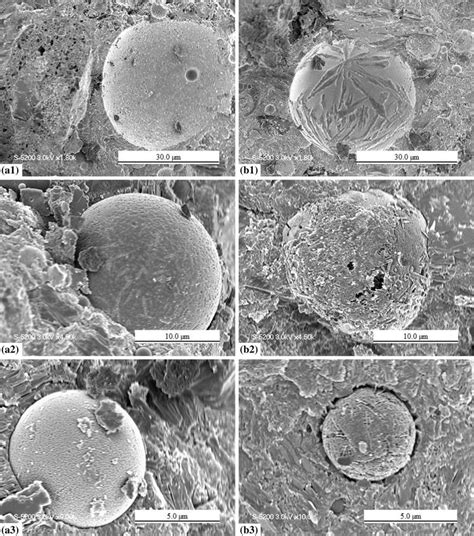 Effect of internal alkali activation on pozzolanic reaction of low-calcium fly ash cement paste ...