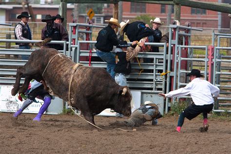 Bull Riding | Jason Savage Photography