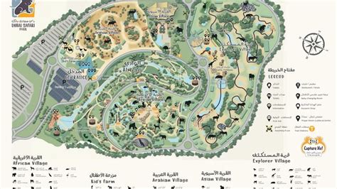 Dubai Safari Park Tickets 2022 – Instant Confirmation | Dubai safari, Safari park, Safari