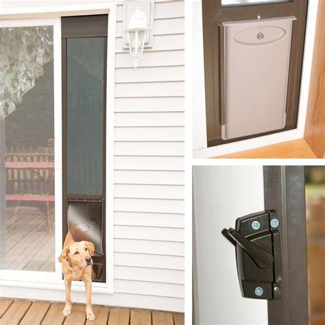 Petsafe Sliding Glass Pet Door Installation | Pets Animals US