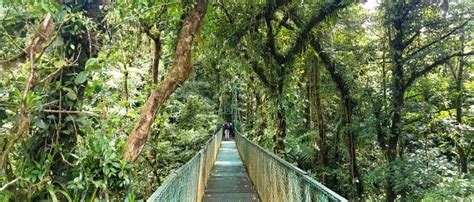 Monteverde Hanging Bridges Tour & Cloud Forest Hike from San Jose