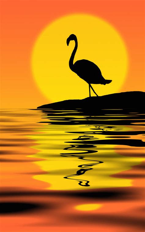 Flamingo at sunset by Nataly1st on DeviantArt