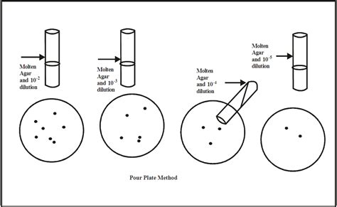 Pour Plate Technique: Principle, Procedure, Results - Biology Ease